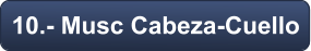 10.- Musc Cabeza-Cuello