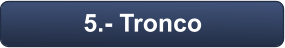 5.- Tronco