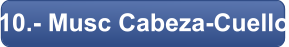 10.- Musc Cabeza-Cuello