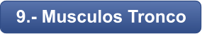 9.- Musculos Tronco