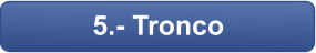 5.- Tronco