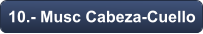10.- Musc Cabeza-Cuello