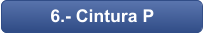 6.- Cintura P