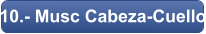 10.- Musc Cabeza-Cuello