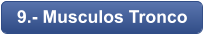 9.- Musculos Tronco