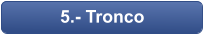 5.- Tronco