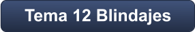 Tema 12 Blindajes