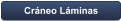 Cráneo Láminas
