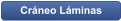 Cráneo Láminas