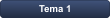 Tema 1